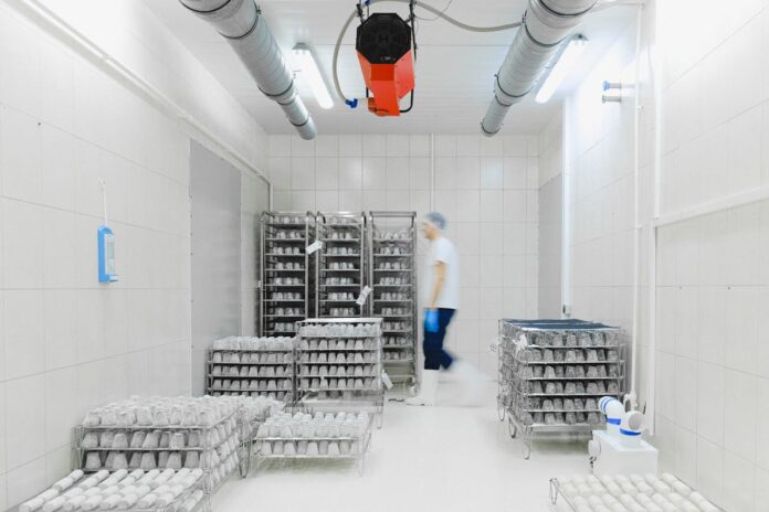 The Role of Logistics in Driving Industrial Efficiency
