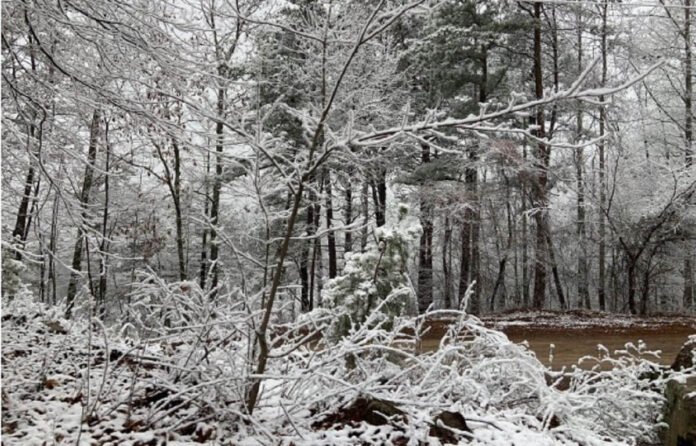 Planning-Relaxed-Getaways-That-Match-a-Festive-Mood