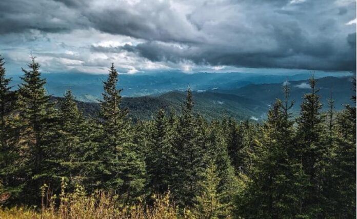 Planning Impactful Travel Experiences on Tight Schedules